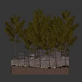 Rustic Cabin In Natural Setting With Tall Trees Parked Car And Red Earth Ground