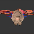 Pelvic Organs 3D Anatomical Model With Detailed Vascular Structure in Medical Illustration 3d model