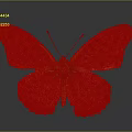 Vibrant Orange Butterfly With Black Spots On Its Colorful Wings