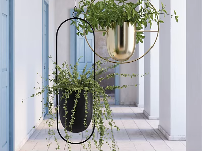Hanging Green Potted Plants With Black And Gold Planters In Corridor With Blue Doors 3d model