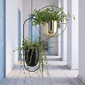Hanging Green Potted Plants With Black And Gold Planters In Corridor With Blue Doors