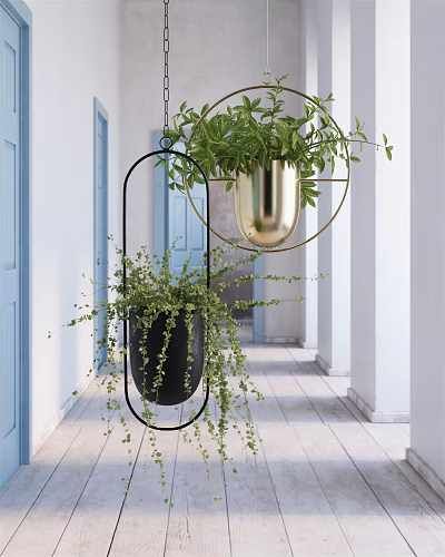 Hanging Green Potted Plants With Black And Gold Planters In Corridor With Blue Doors 3d model