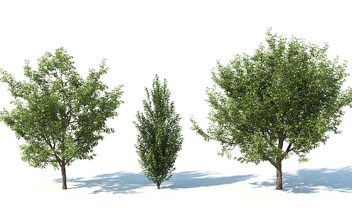 The Modern Tree 3d model