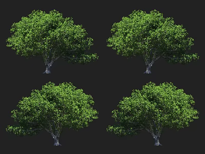 Lush Green Trees With Dark Trunks And Dense Foliage On Black Background 3d model