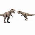 Two Realistic T Rex Dinosaurs Standing And Interacting On White Background 3d model