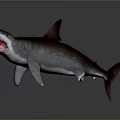 Realistic Shark With Open Mouth Gray Body Red Interior And Dark Fins On Gray Background