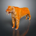 Realistic Orange Tiger with Long Fangs in Standing Posture against Gray Gradient Background 3d model