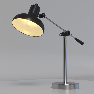Modern Black Desk Lamp With Adjustable Silver Metal Arm And Illuminated Bulb 3d model