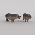 Two Gray Hippo 3D Models With Open Mouths On Light Gray Background 3d model