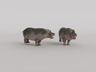 Two Gray Hippo 3D Models With Open Mouths On Light Gray Background 3d model