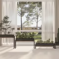 Indoor Potted Plants Including Cacti And Green Foliage On Black Stands With Light Floor And Window View