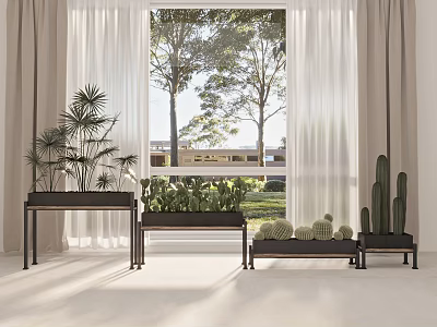 Indoor Potted Plants Including Cacti And Green Foliage On Black Stands With Light Floor And Window View 3d model