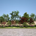 Colorful Flowers and Plants With Lush Trees Against White Wall and Stone Paved Ground