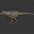 Realistic Tyrannosaurus Rex 3D Model With Detailed Skin Texture Standing On Gray Background