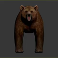 Realistic Brown Bear Standing With Open Mouth And Detailed Fur Texture