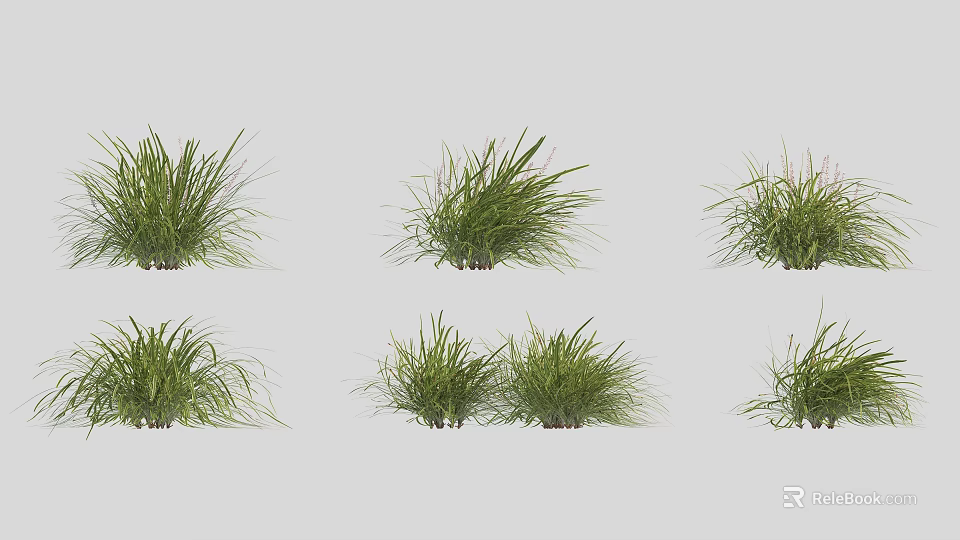 Natural Fresh Green Grass Plants in Various Shapes Isolated on Gray Background 3d model 