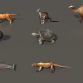 Animal Mammal Low Model Animal Low Face Number Animal Game Animal Simple Model Realistic Animal Camel Kangaroo Ostrich Turtle Lizard 3d model