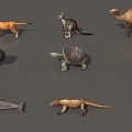 Animal Mammal Low Model Animal Low Face Number Animal Game Animal Animal Simple Model Realistic Animal Camel Kangaroo Ostrich Turtle Lizard 3d model