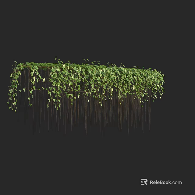 Lush Green Hanging Vines with Dense Foliage Against Black Background for Decorative Use 3d model 