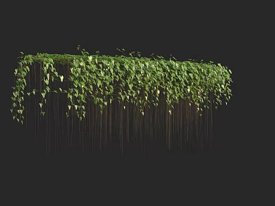 Lush Green Hanging Vines with Dense Foliage Against Black Background for Decorative Use 3d model