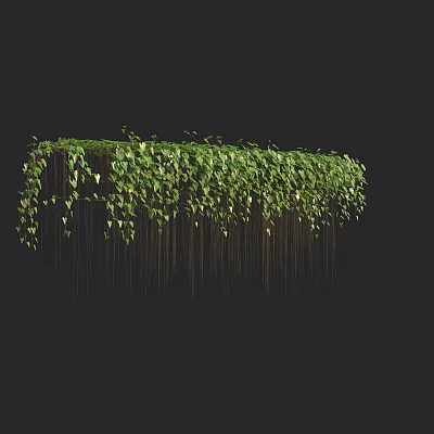 Lush Green Hanging Vines with Dense Foliage Against Black Background for Decorative Use 3d model