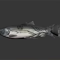 Two Shiny Dark Fish On White Background With Fish Shaped Object