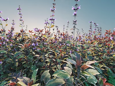 Sunlit Outdoor Garden Shrubs With Purple Flowers And Colorful Green Red Leaves 3d model