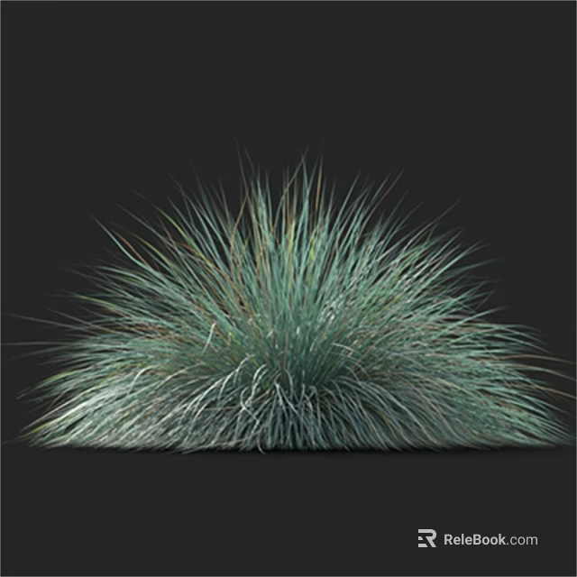 Fluffy Green Ornamental Grass Plant Studio Shot on Black Background with Soft Texture 3d model 