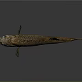 Brown Fish with Spikes and Fins on Black Background with Reflection