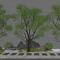Lush Deciduous Trees with Grey Wall Background Stone Path Rocks Shrubs and Gravel