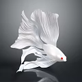 White Siamese Fighting Fish with Flowing Fins and Red Eyes on Dark Background