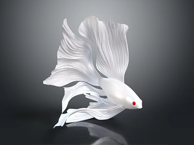 White Siamese Fighting Fish with Flowing Fins and Red Eyes on Dark Background 3d model