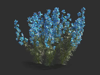 Beautiful Lush Blue Flower Clusters With Green Stems On Black Background 3d model