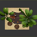 Tropical Island Bar Counter with Wooden Barrel Design Wine Bottles Glasses Palm Leaves and Stools