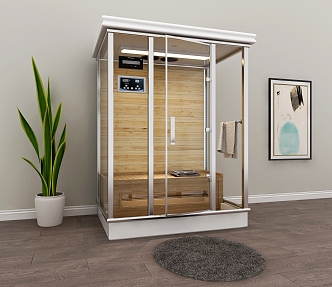 Modern sauna room sweat steaming sauna room 3d model