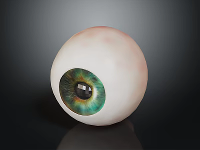 Realistic Human Eyeball with Eyelashes Green Blue Iris and Black Pupil on Dark Background 3d model