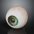 Realistic Human Eyeball with Eyelashes Green Blue Iris and Black Pupil on Dark Background