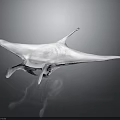 Elegant White Manta Ray Gliding Smoothly On Dark Background With Reflection