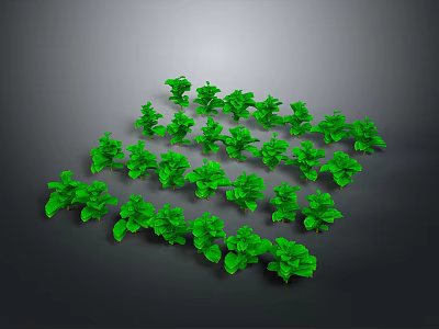 Fresh Green Plants Arranged In Specific Shape On Gray Background 3d model