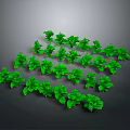 Fresh Green Plants Arranged In Specific Shape On Gray Background