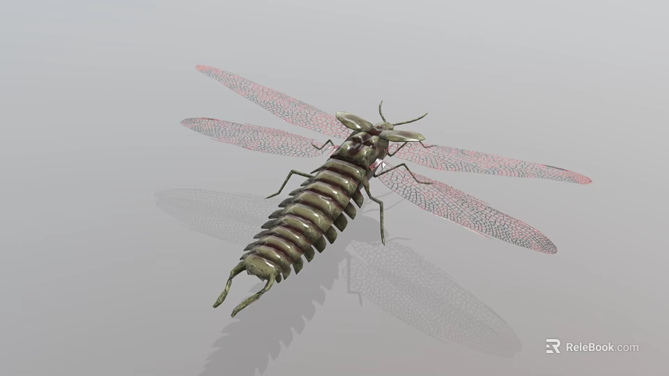 Realistic 3D Reptile Figure With Segmented Body And Transparent Wing Textures 3d model 