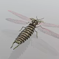 Modern mechanical worm 3d model