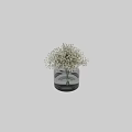 Transparent Glass Vase With Fresh White Baby's Breath Flowers In Water For Home Decor