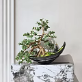 Bonsai Plant With Curved Trunk Green Foliage On Black Pot Marble Stand