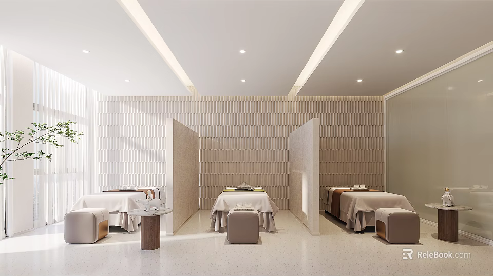 Modern Beauty Salon Interior with Beauty Beds Partition Screens and Striped Walls 3d model 