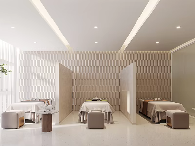 Modern Beauty Salon Interior with Beauty Beds Partition Screens and Striped Walls 3d model