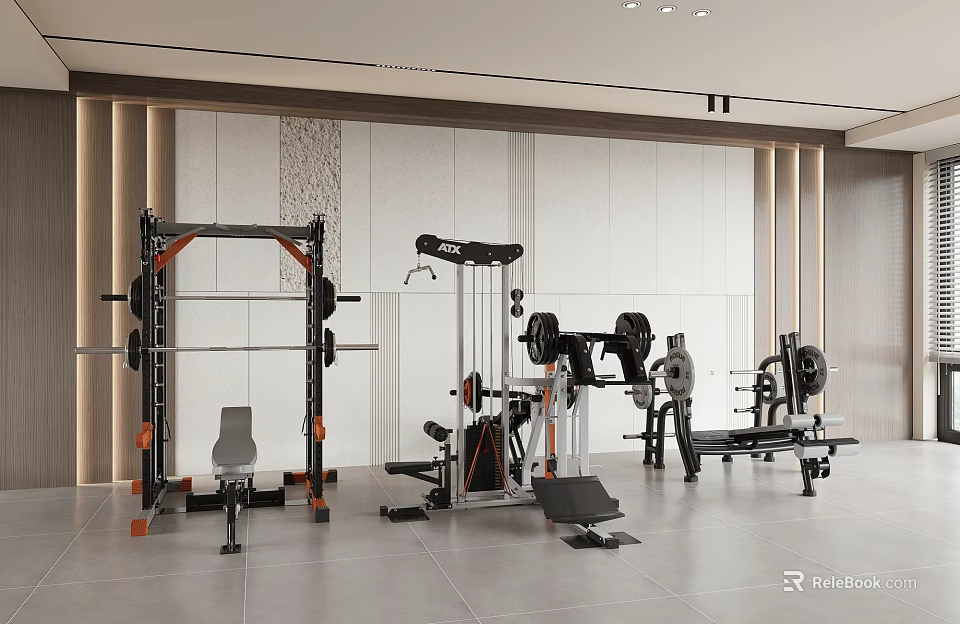 Modern Gym Workout Space With Various Strength Training Equipment And Barbells 3d model 