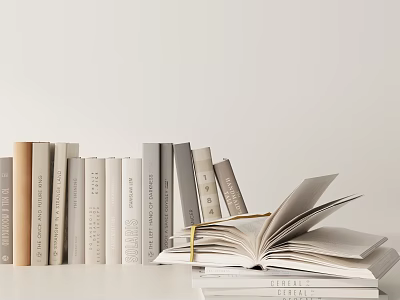 Neutral Toned Book Collection With Standing Books And Open Book On White Surface 3d model