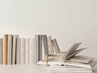 Modern Book Ornaments Combination 3d model