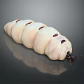 White Larva Like Game Movie Character With Red Spots Curved Body And Small Head